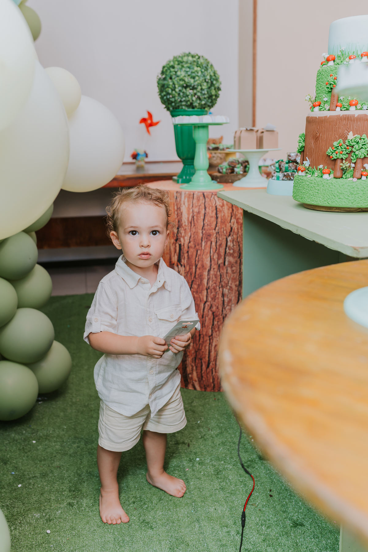 fotografia festa infantil 2 anos heitor Tijuca rio de Janeiro rj fotógrafa familia evento 