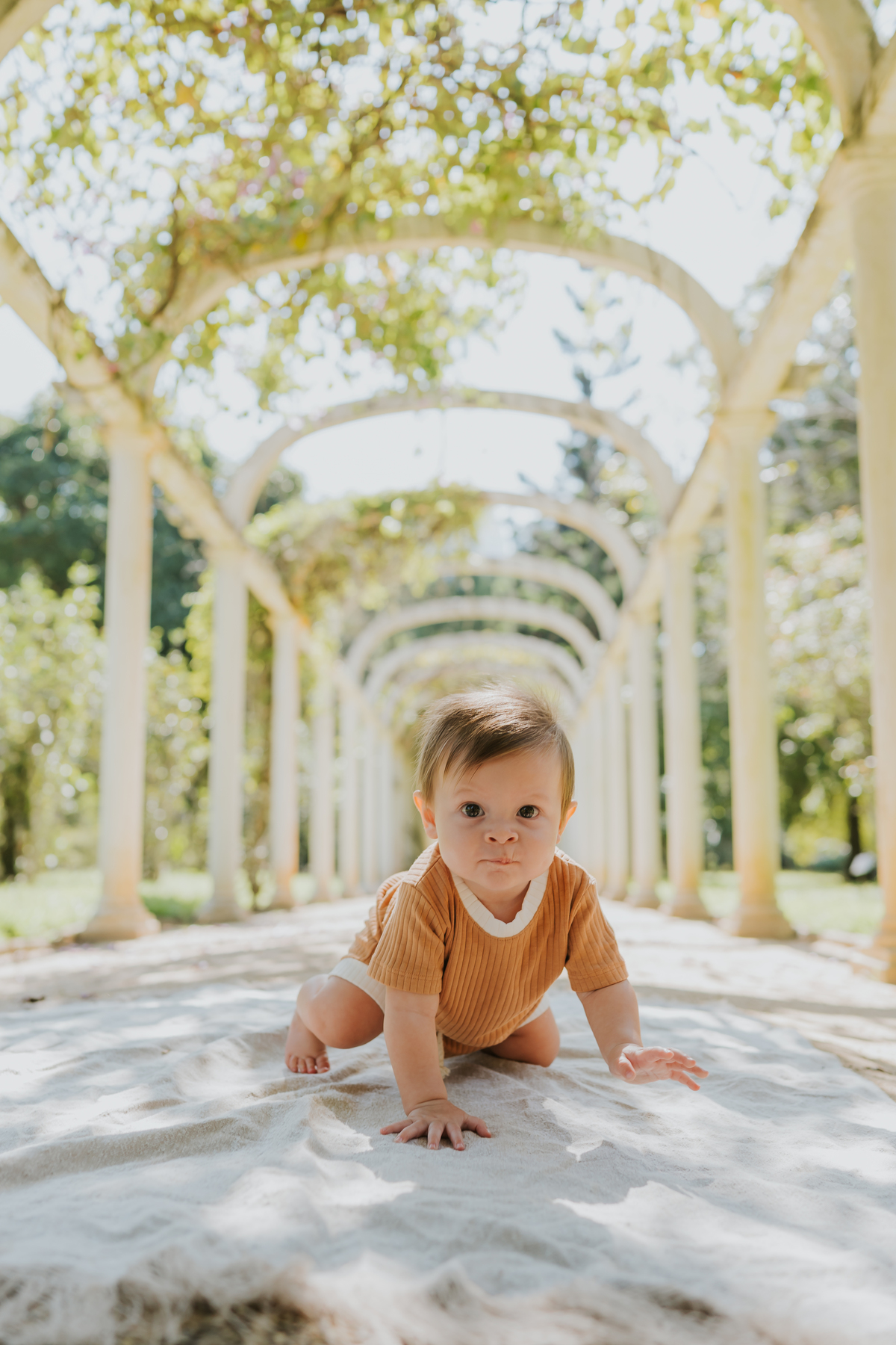 fotografia ensaio familia externo jardim botânico Rio de Janeiro rj fotografa sessão natureza 