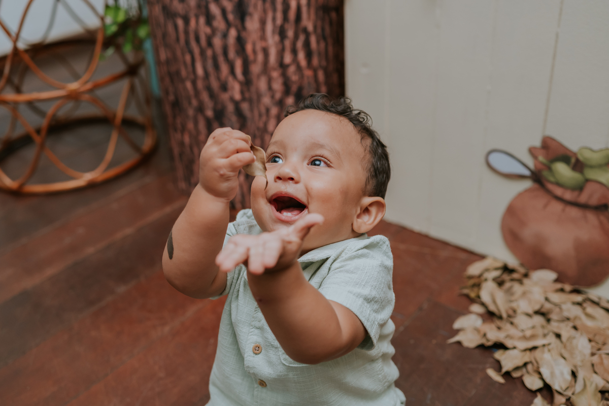 fotografa fotografia 1 ano Joao casa de festas na arvore recreio dos bandeirantes rio de janeiro rj tema Joao e o pé de feijão familia 