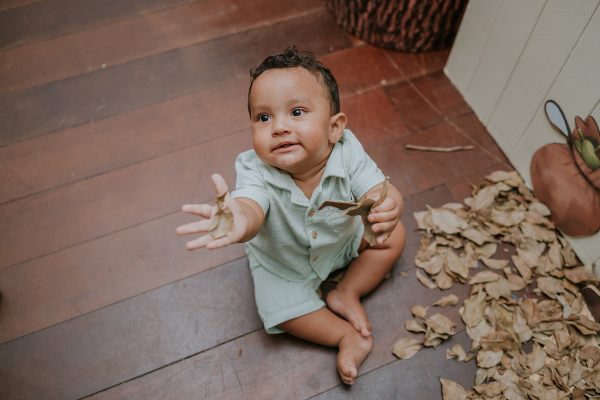 fotografa fotografia 1 ano Joao casa de festas na arvore recreio dos bandeirantes rio de janeiro rj tema Joao e o pé de feijão familia 