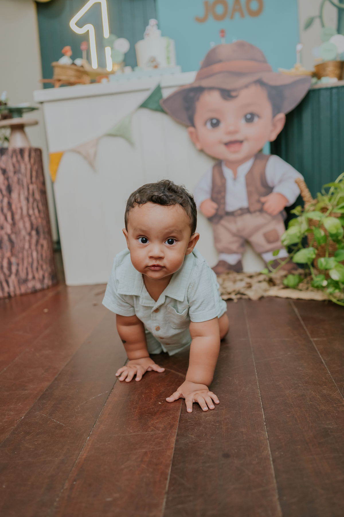 fotografa fotografia 1 ano Joao casa de festas na arvore recreio dos bandeirantes rio de janeiro rj tema Joao e o pé de feijão familia 