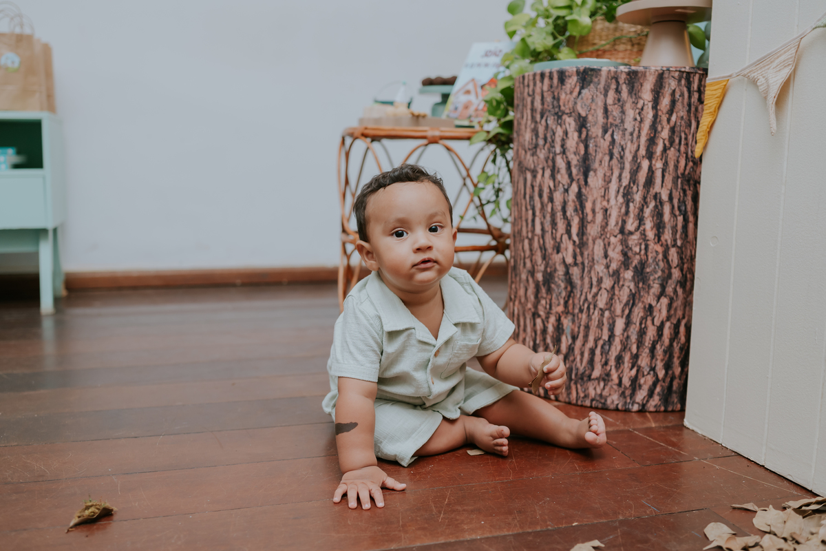 fotografa fotografia 1 ano Joao casa de festas na arvore recreio dos bandeirantes rio de janeiro rj tema Joao e o pé de feijão familia 