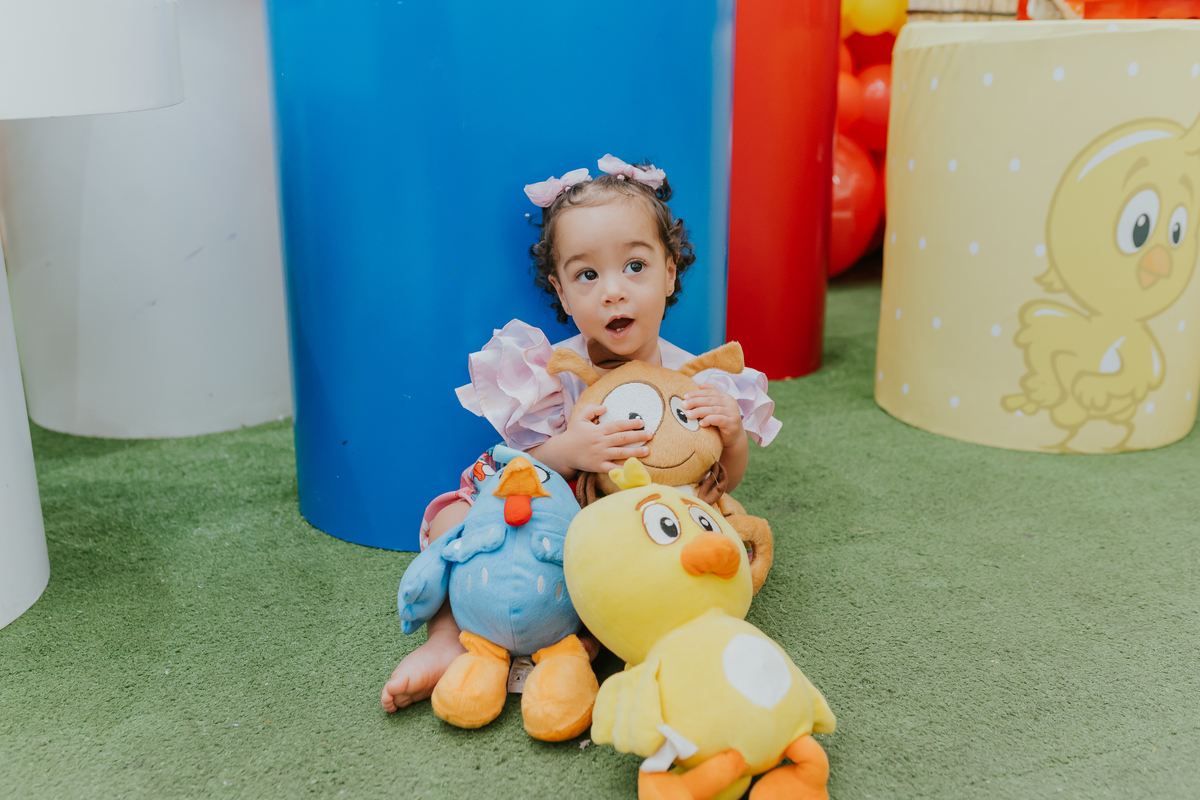 fotografia fotografa festa infantil casa de festas tik tak Botafogo Rio de Janeiro rj 1 ano maria luisa 