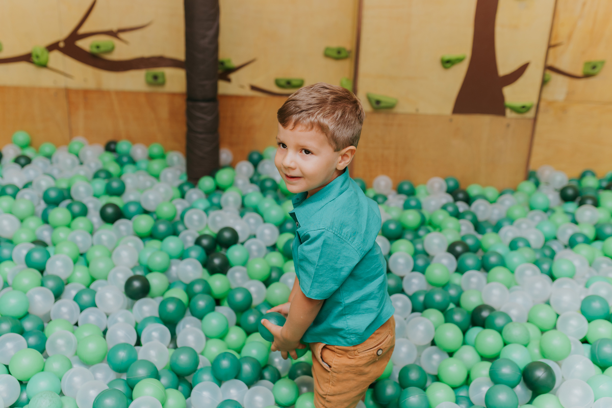 fotografia fotografa festa infantil rj Rio de Janeiro Botafogo espoleta buffet casa de festas 3 anos Pedro tema dinossauro 