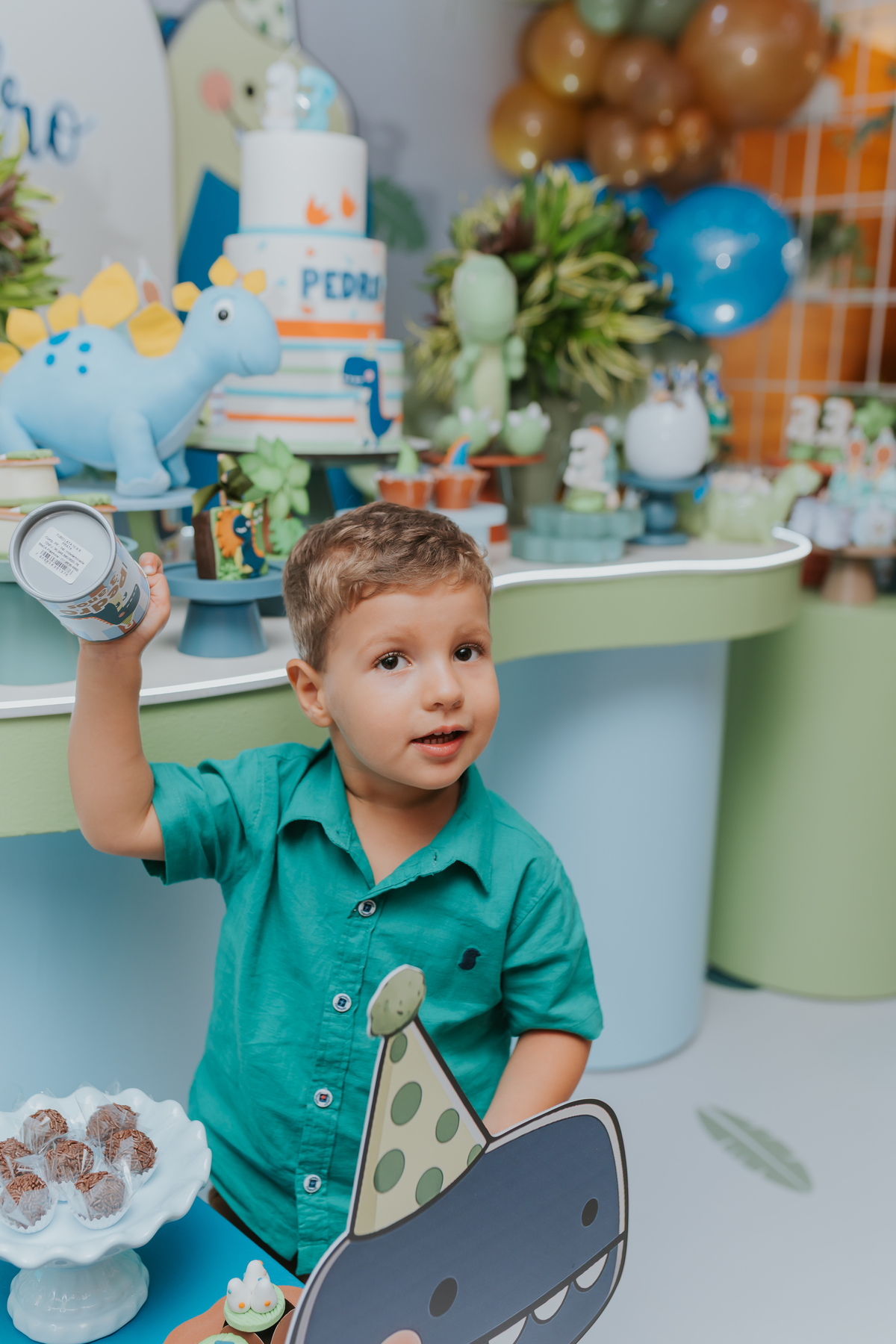 fotografia fotografa festa infantil rj Rio de Janeiro Botafogo espoleta buffet casa de festas 3 anos Pedro tema dinossauro 
