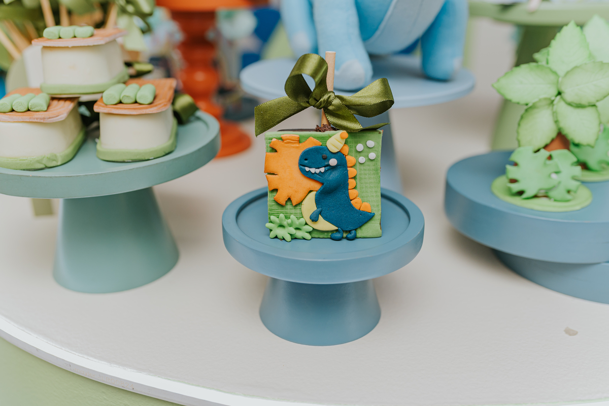 fotografia fotografa festa infantil rj Rio de Janeiro Botafogo espoleta buffet casa de festas 3 anos Pedro tema dinossauro 