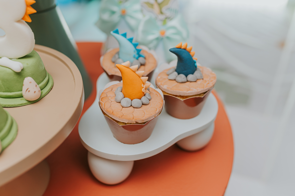 fotografia fotografa festa infantil rj Rio de Janeiro Botafogo espoleta buffet casa de festas 3 anos Pedro tema dinossauro 