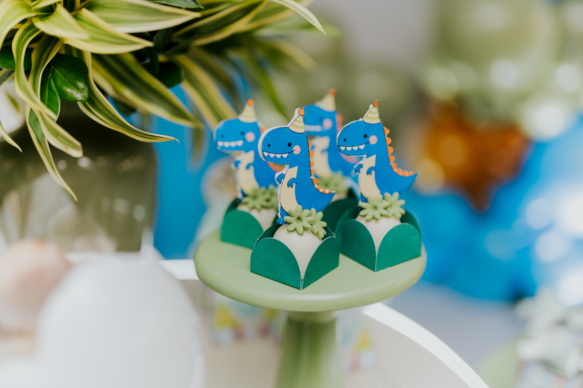 fotografia fotografa festa infantil rj Rio de Janeiro Botafogo espoleta buffet casa de festas 3 anos Pedro tema dinossauro 