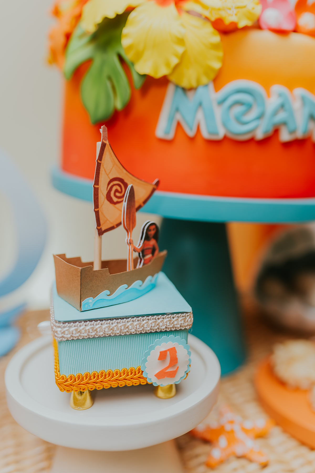 fotografia festa infantil fotografa familia Río de Janeiro Tijuca rj 2 anos Cecilia tema Moana play bruna Guerson 