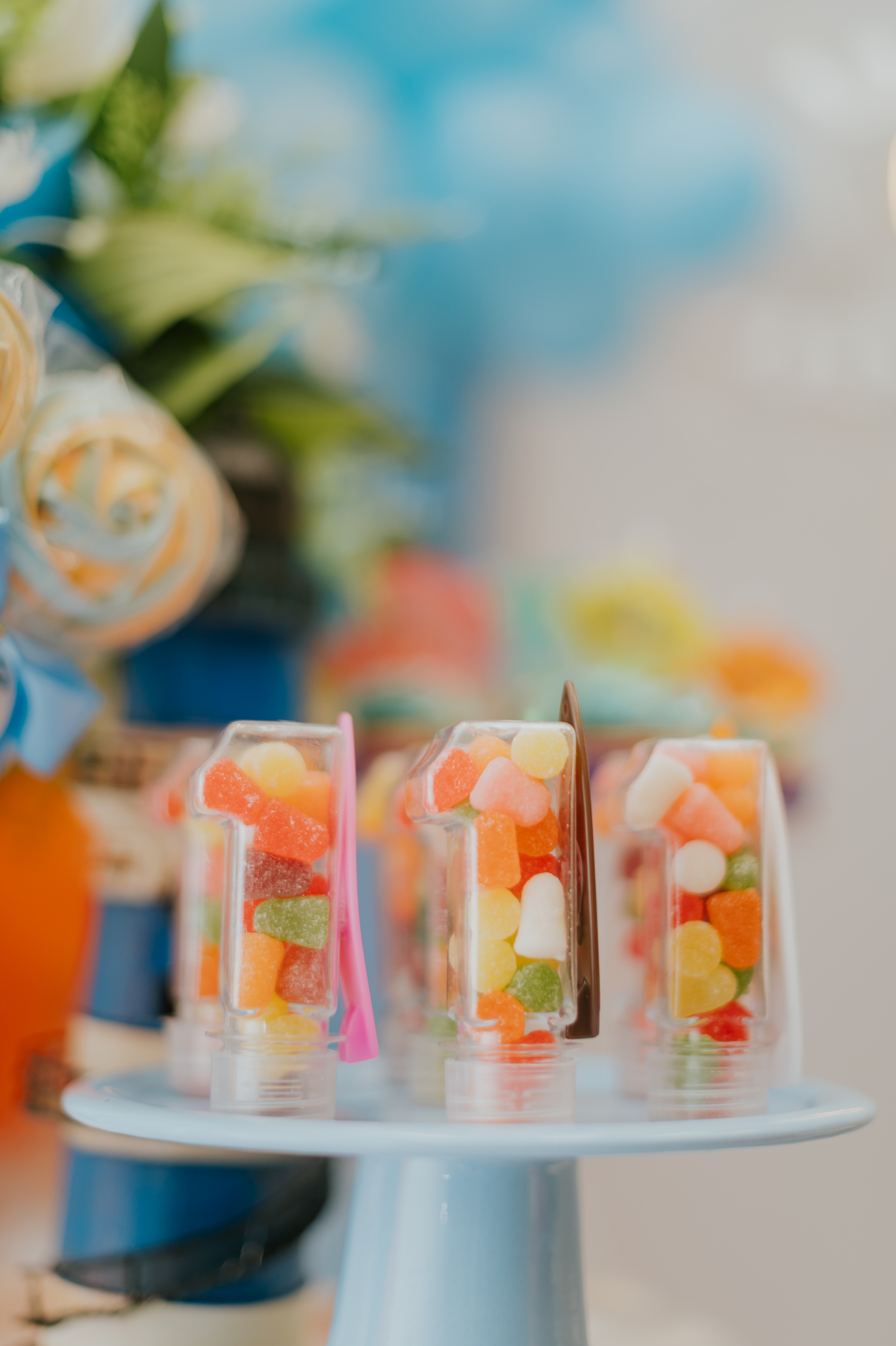 fotografa fotografia familia festa infantil 1 ano augusto barra da Tijuca Río de Janeiro rj tema praia bruna Guerson 