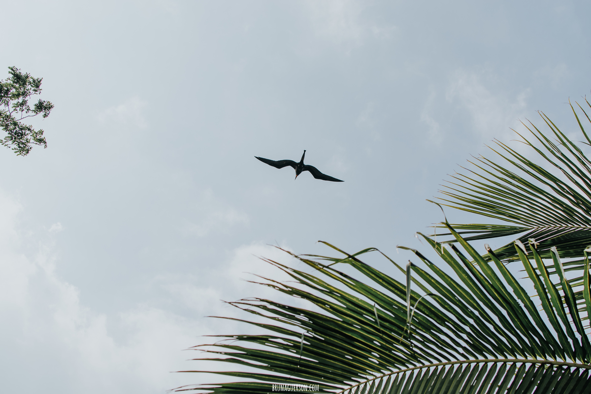 Fotografia de batizado- Ilha do governador, rio de janeiro