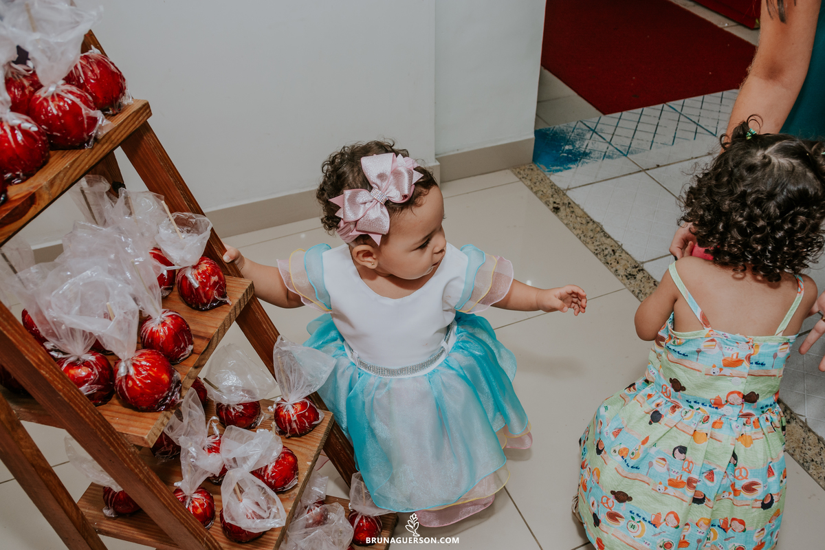 festa infantil 1 ano rio de janeiro rj fotografia ilha do governador circo rosa