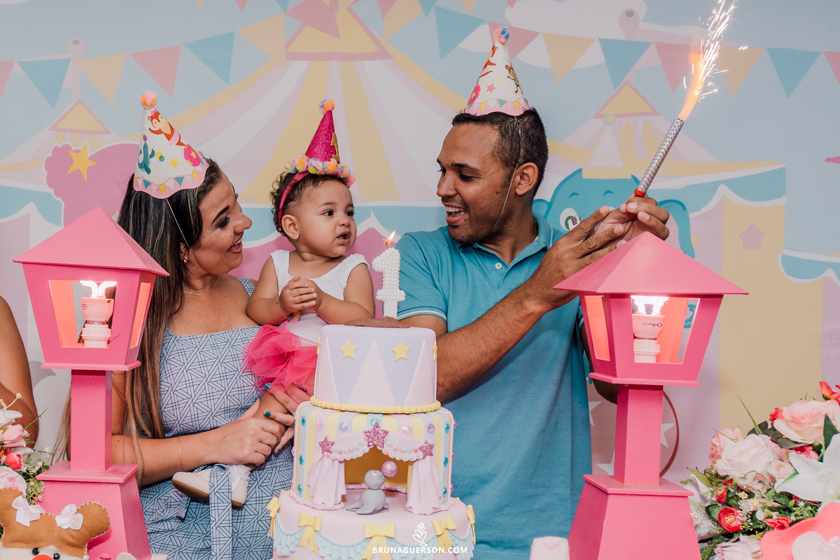 festa infantil 1 ano rio de janeiro rj fotografia ilha do governador circo rosa bruna guerson