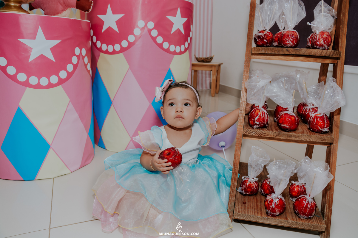 festa infantil 1 ano rio de janeiro rj fotografia ilha do governador 