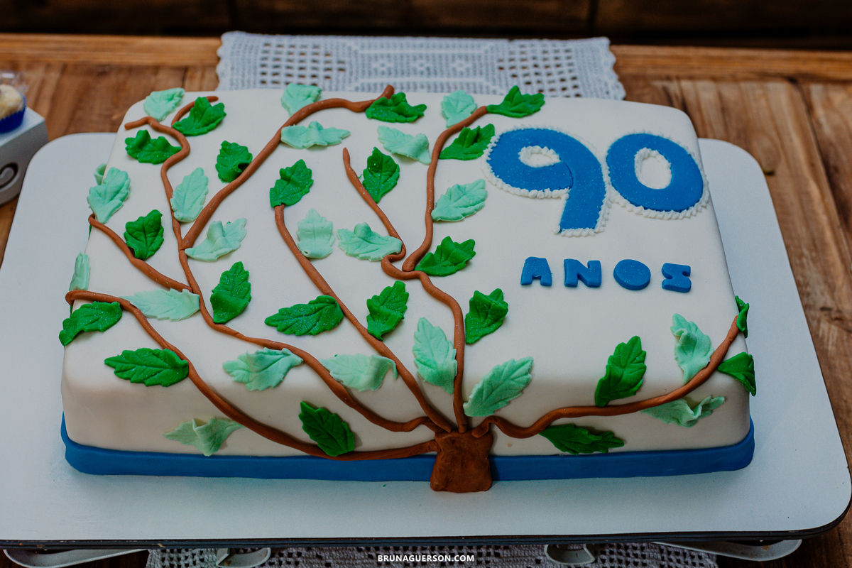 festa adulto Rio de Janeiro rj 90 anos feijoada fotografa fotografia