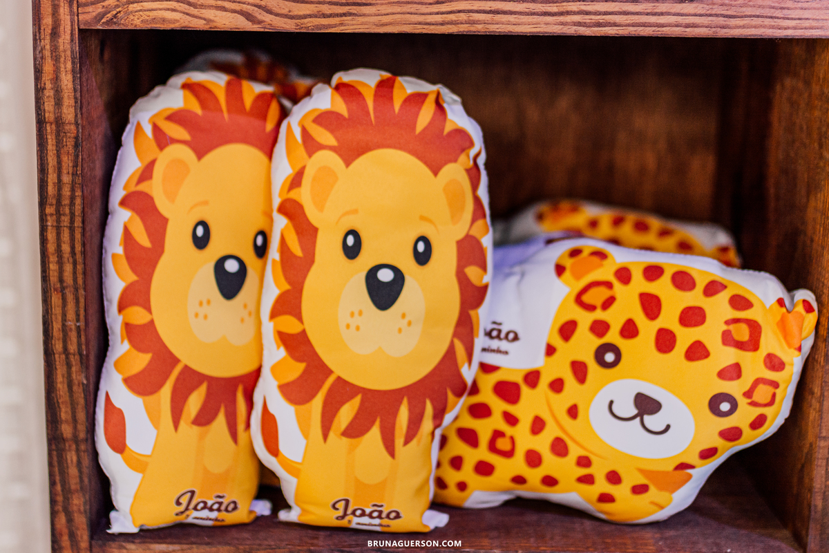 festa infantil decoração arca de noe Rio de Janeiro rj aniversario 1 ano 