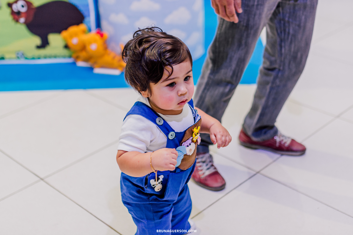 festa infantil decoração arca de noe Rio de Janeiro rj aniversario 1 ano 