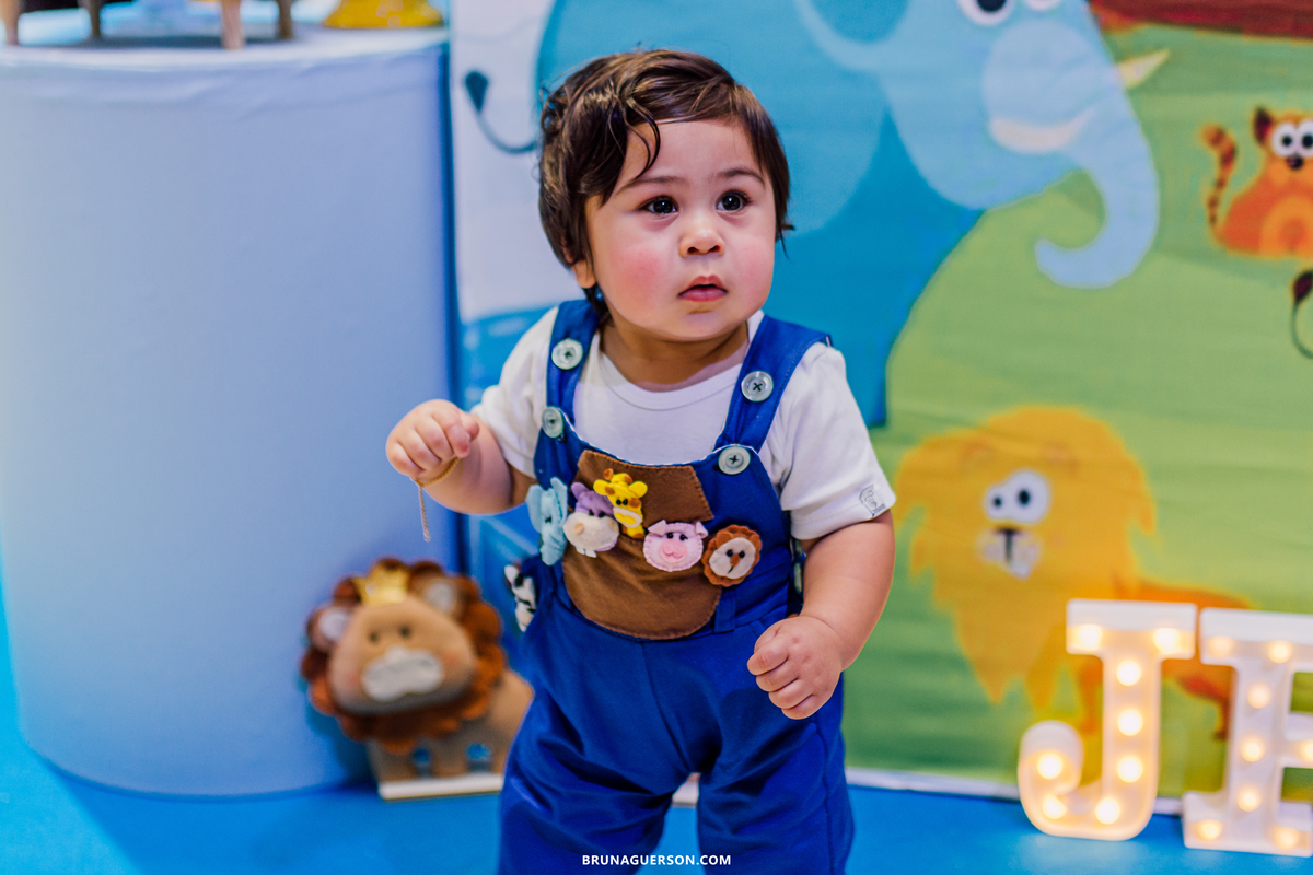 festa infantil decoração arca de noe Rio de Janeiro rj aniversario 1 ano 