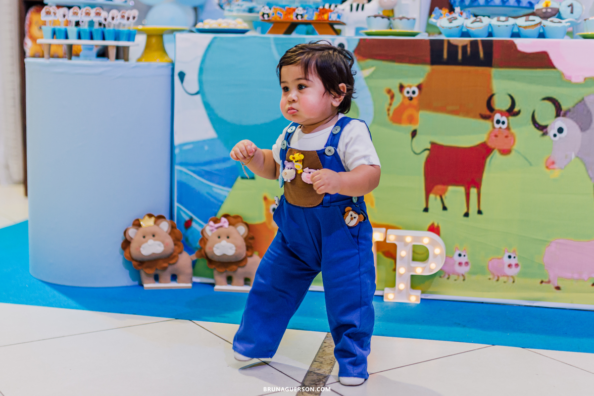 festa infantil decoração arca de noe Rio de Janeiro rj aniversario 1 ano 