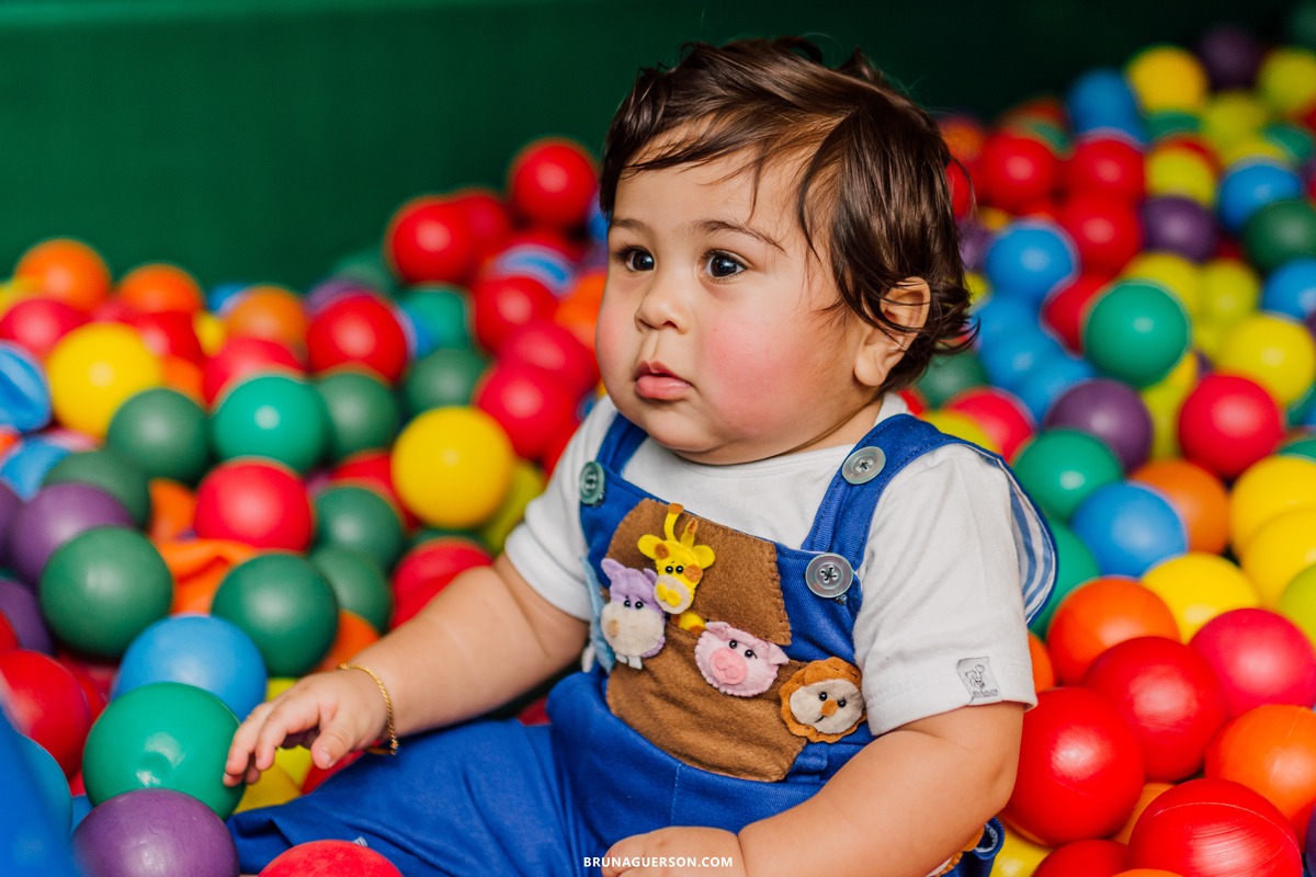 festa infantil decoração arca de noe Rio de Janeiro rj aniversario 1 ano 
