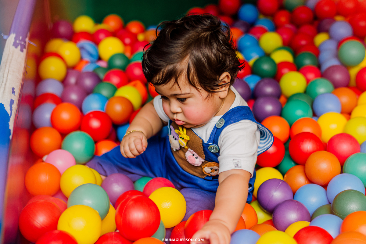 festa infantil decoração arca de noe Rio de Janeiro rj aniversario 1 ano 