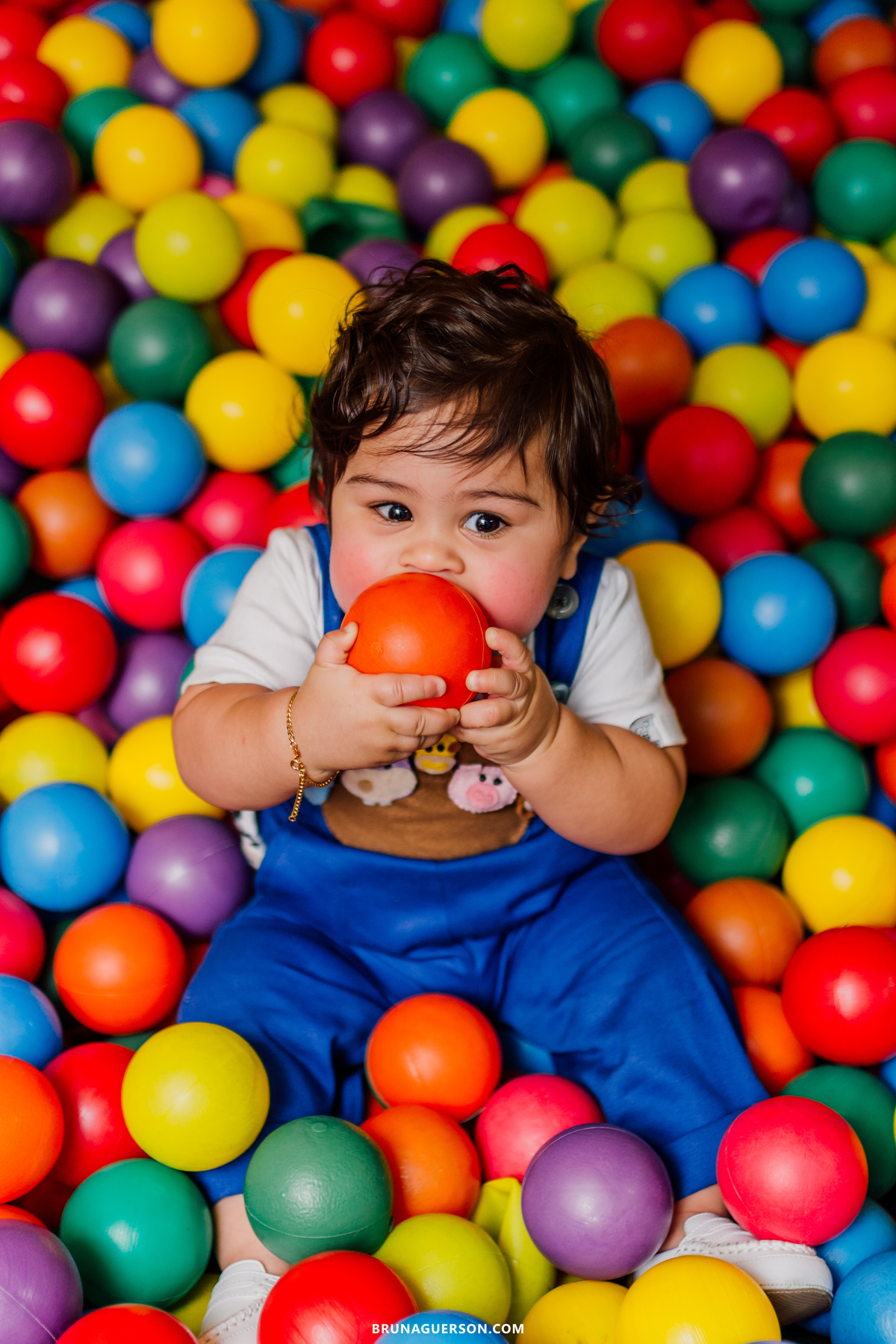 festa infantil decoração arca de noe Rio de Janeiro rj aniversario 1 ano 