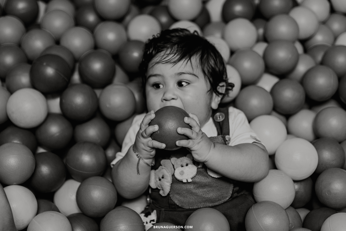 festa infantil decoração arca de noe Rio de Janeiro rj aniversario 1 ano 