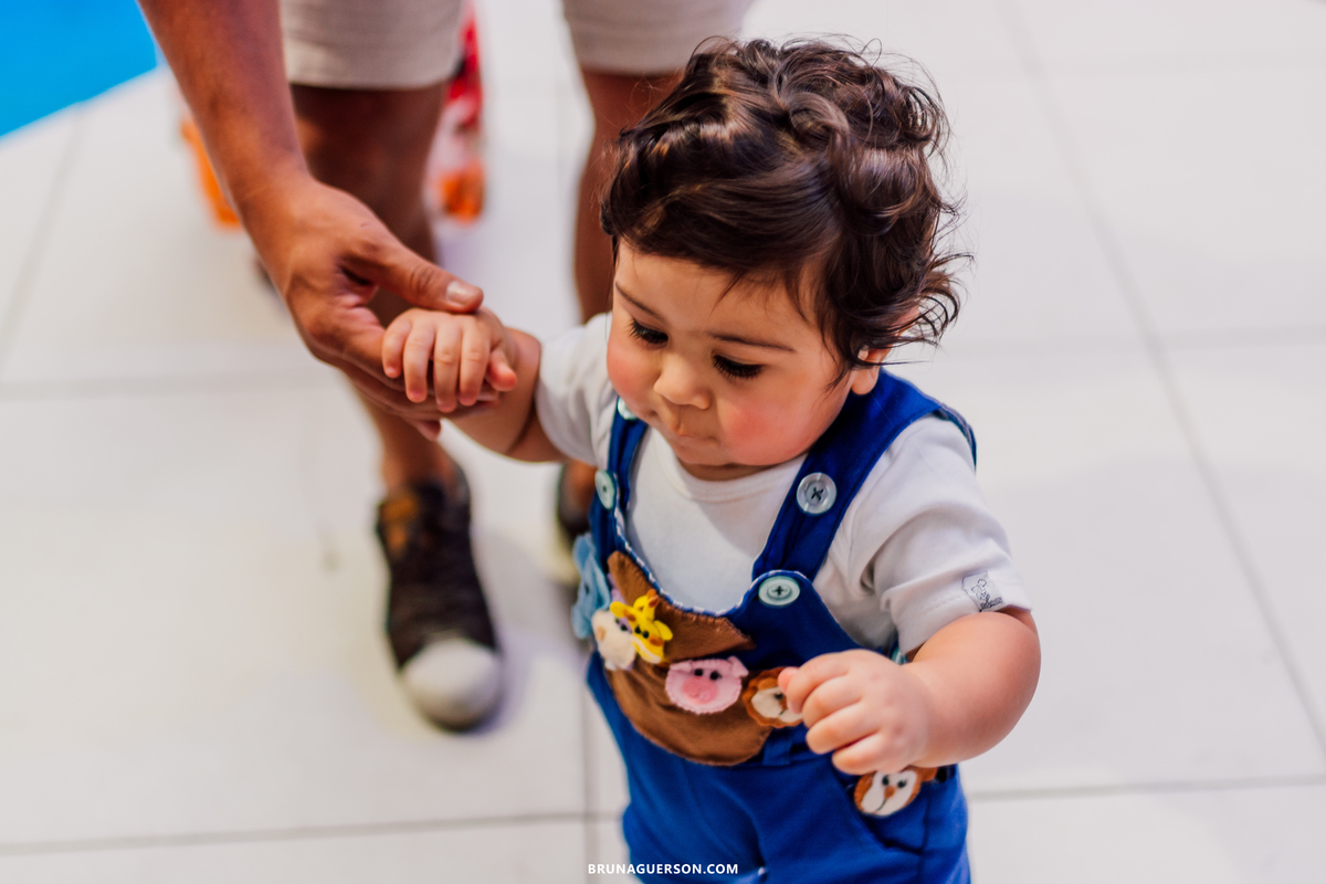festa infantil decoração arca de noe Rio de Janeiro rj aniversario 1 ano 