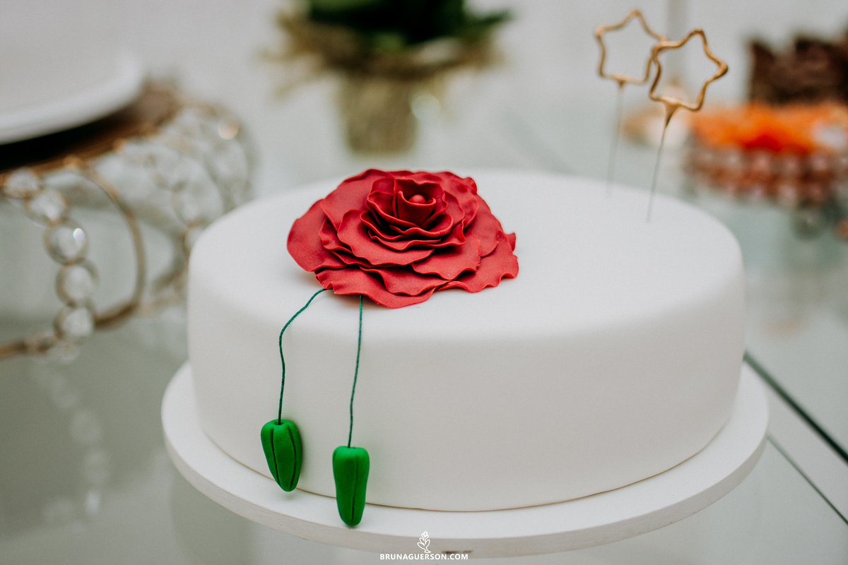 festa aniversario 80 anos Rio de Janeiro rj ao ar livre fotografa festa