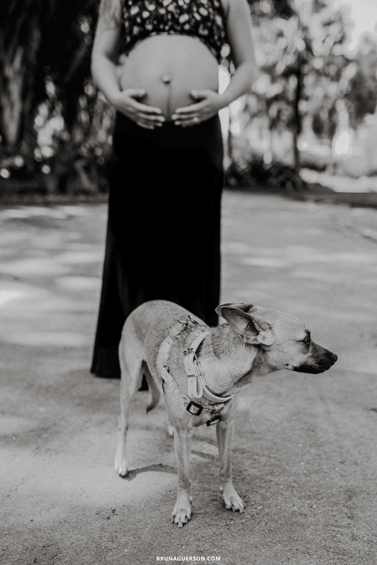 ensaio de gestante fotografia fotografa Rio de Janeiro rj barra da Tijuca rio2 ensaio externo