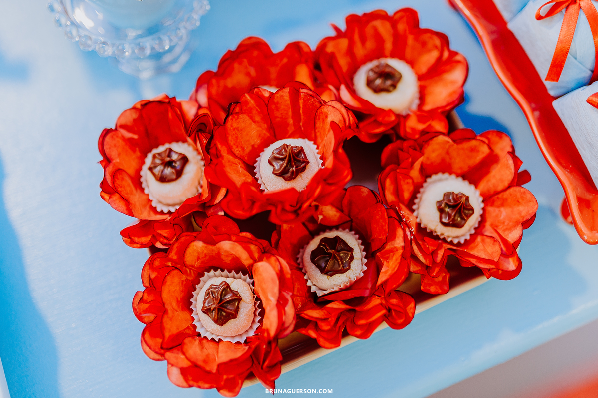 fotografa de familia Rio de Janeiro rj cha de bebe cha de menino tema urso aviador decoracao