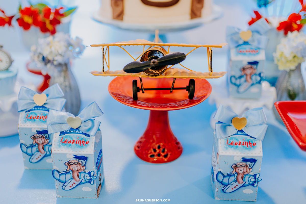 fotografa de familia Rio de Janeiro rj cha de bebe cha de menino tema urso aviador decoracao