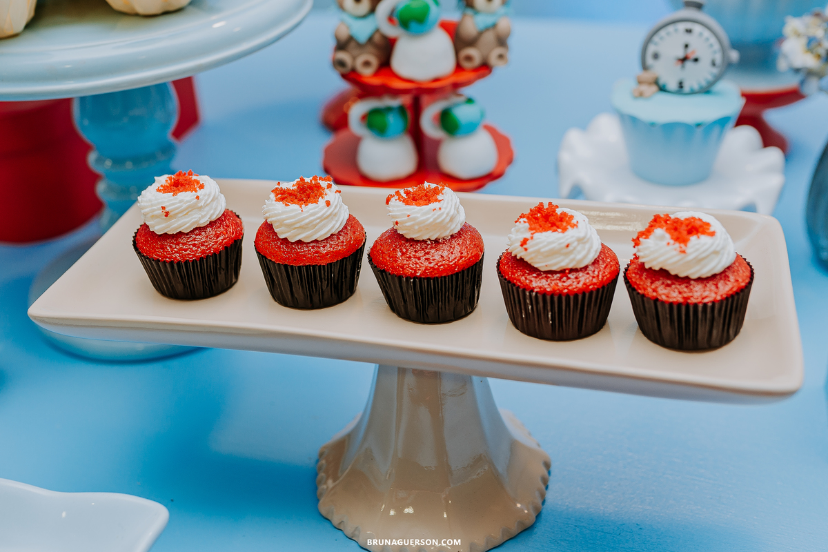 fotografa de familia Rio de Janeiro rj cha de bebe cha de menino tema urso aviador decoracao