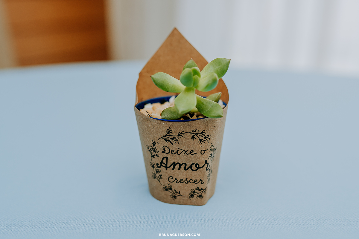 fotografa de familia Rio de Janeiro rj cha de bebe cha de menino tema urso aviador decoracao