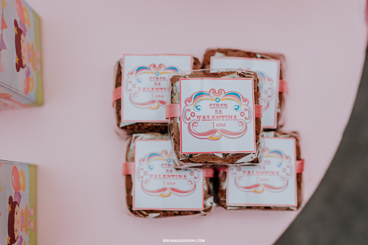 fotografia festa infantil Rio de Janeiro fotógrafa de familia  rj 1 ano decoracao circo rosa 