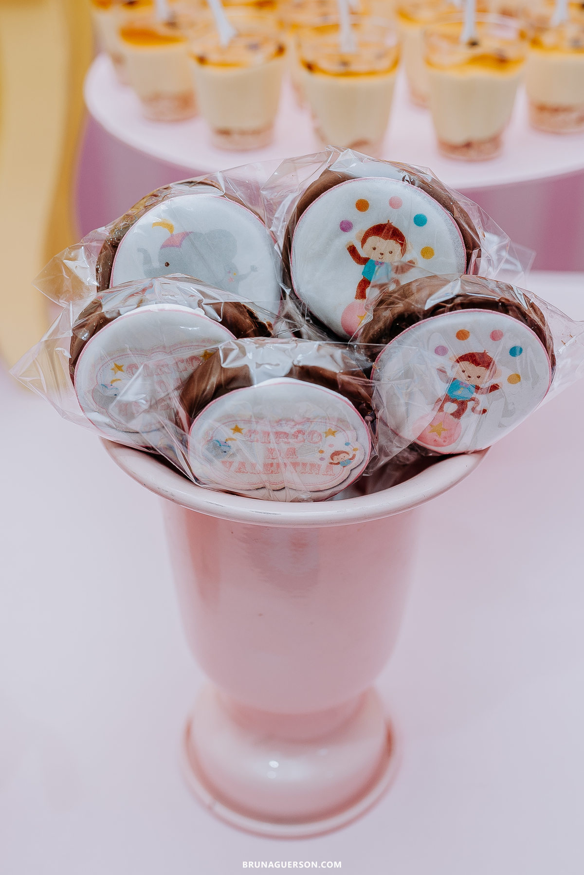 fotografia festa infantil Rio de Janeiro fotógrafa de familia  rj 1 ano decoracao circo rosa 