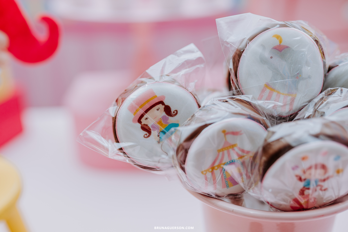 fotografia festa infantil Rio de Janeiro fotógrafa de familia  rj 1 ano decoracao circo rosa 