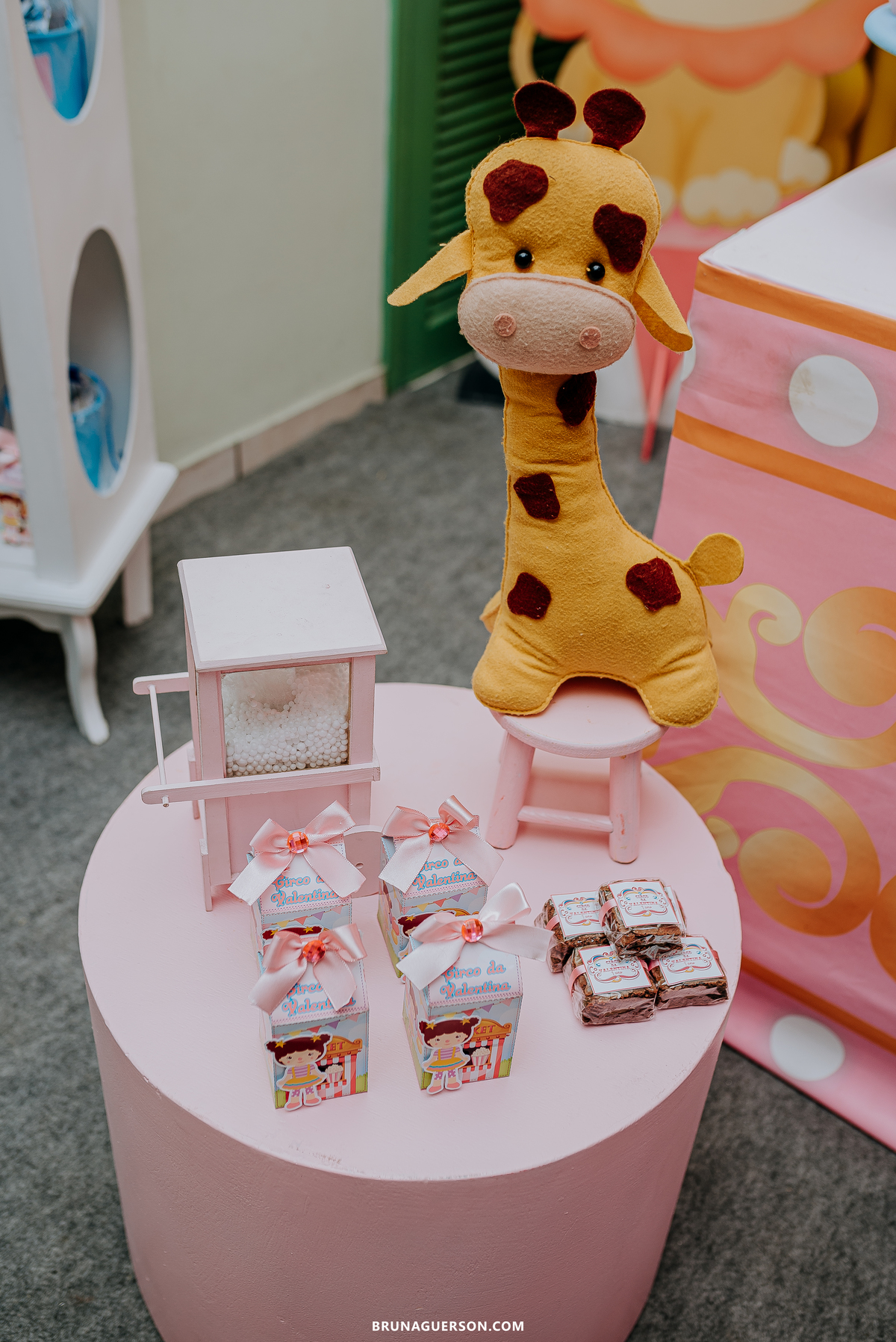 fotografia festa infantil Rio de Janeiro fotógrafa de familia  rj 1 ano decoracao circo rosa 