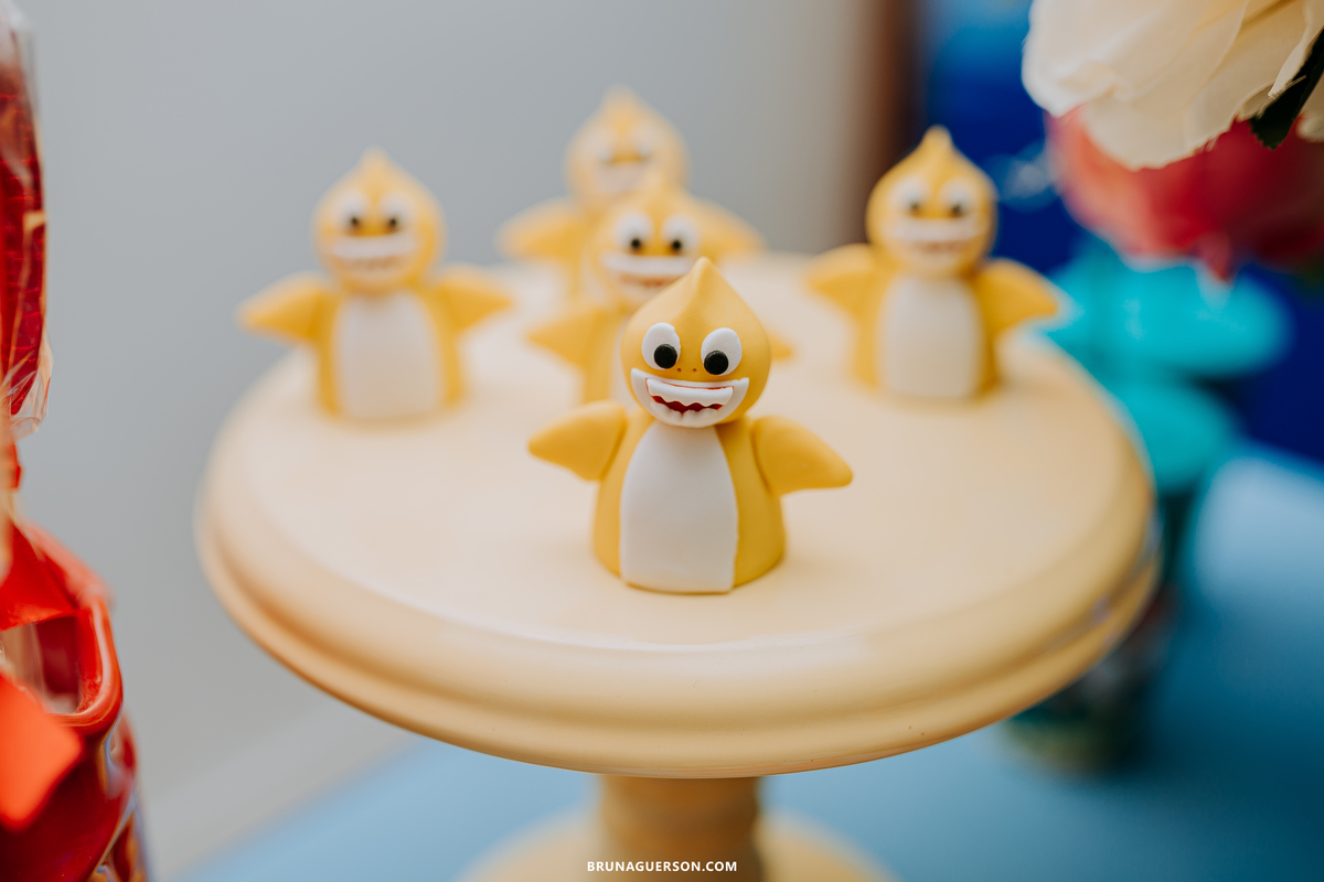 festa infantil Rio de Janeiro fotografa de familia rj baby shark 2 anos