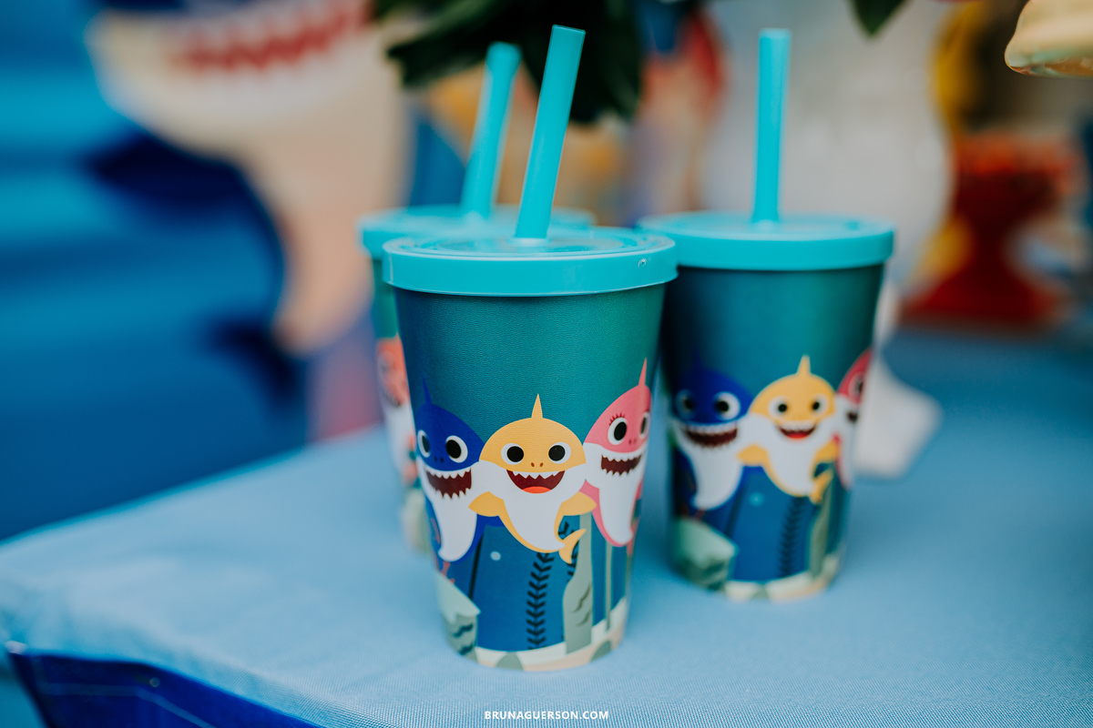 festa infantil Rio de Janeiro fotografa de familia rj baby shark 2 anos