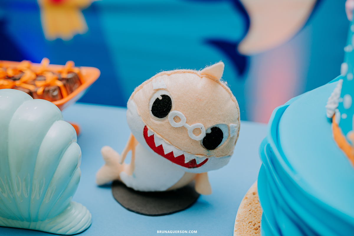 festa infantil Rio de Janeiro fotografa de familia rj baby shark 2 anos