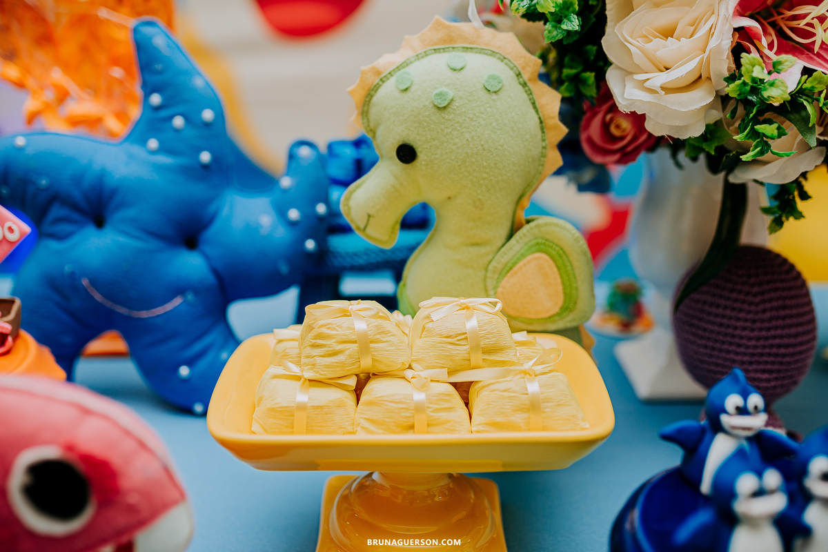 festa infantil Rio de Janeiro fotografa de familia rj baby shark 2 anos