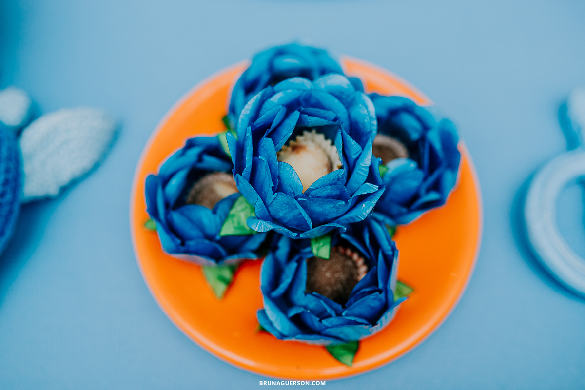 festa infantil Rio de Janeiro fotografa de familia rj baby shark 2 anos