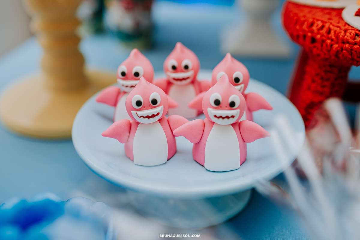 festa infantil Rio de Janeiro fotografa de familia rj baby shark 2 anos