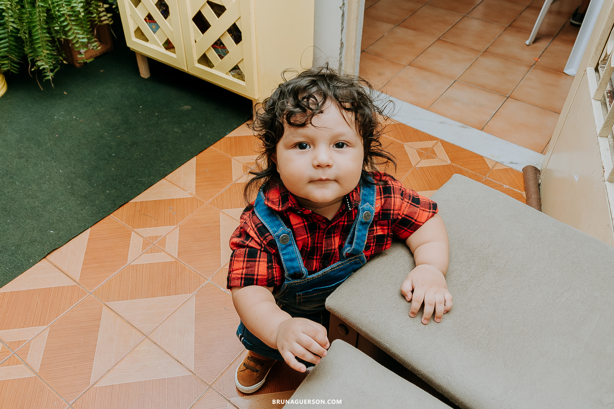 festa em casa fazendinha festa infantil Rio de Janeiro fotografa rj 