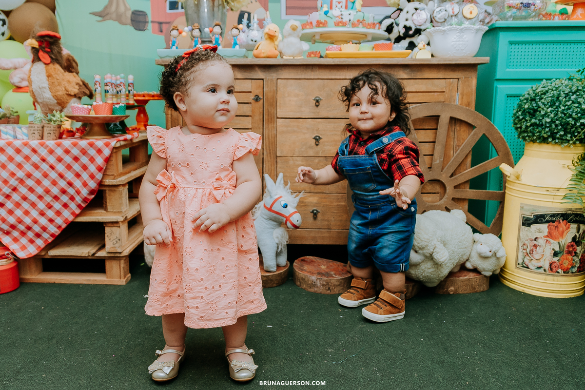 festa em casa fazendinha festa infantil Rio de Janeiro fotografa rj 
