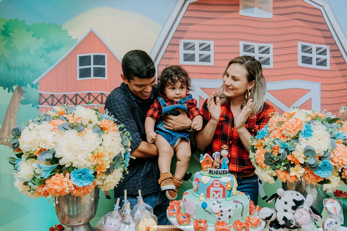 festa em casa fazendinha festa infantil Rio de Janeiro fotografa rj 