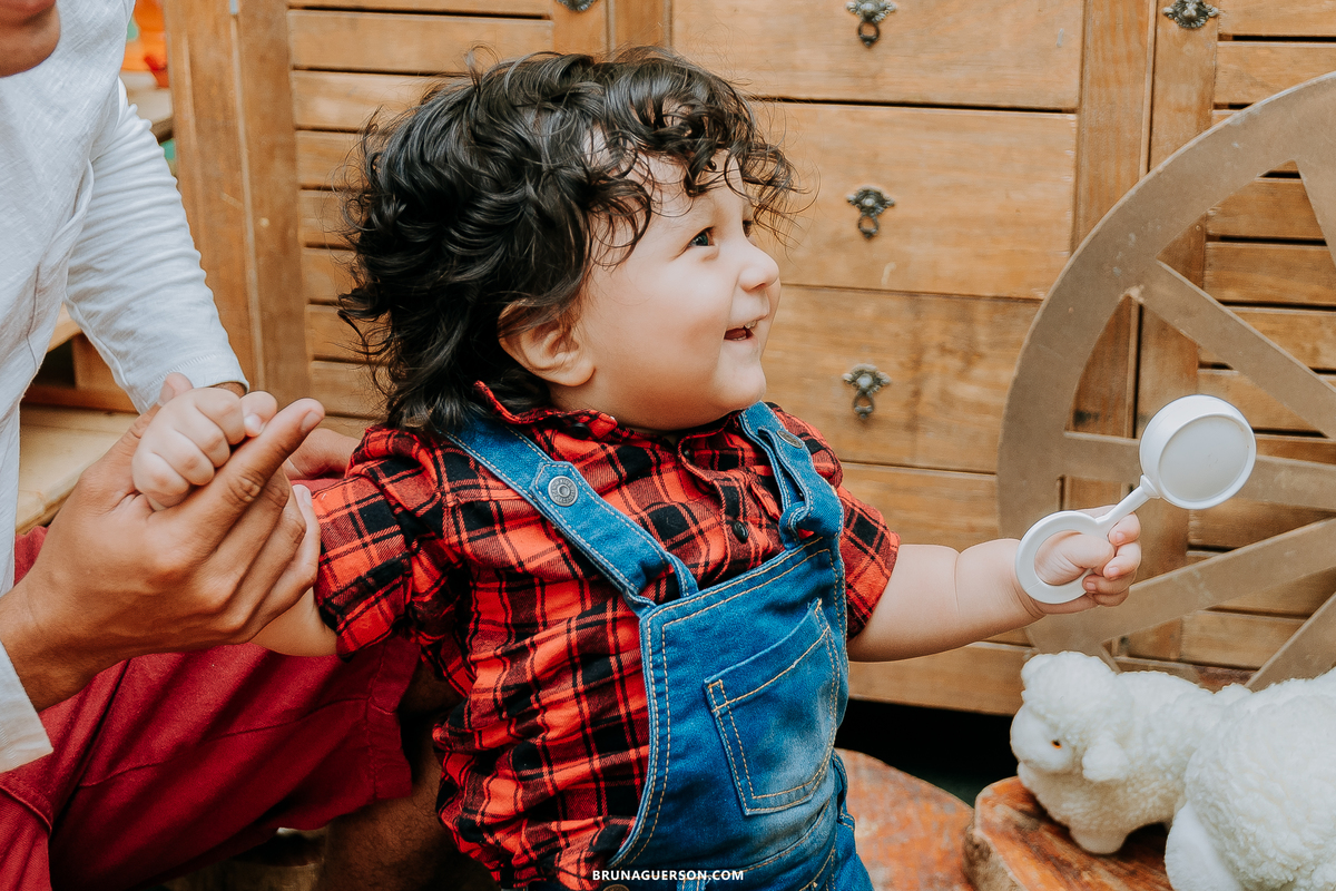 festa em casa fazendinha festa infantil Rio de Janeiro fotografa rj 