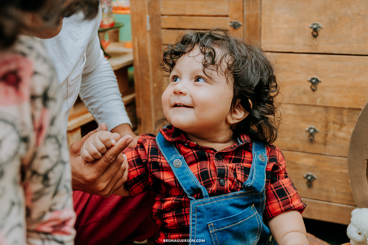 festa em casa fazendinha festa infantil Rio de Janeiro fotografa rj 