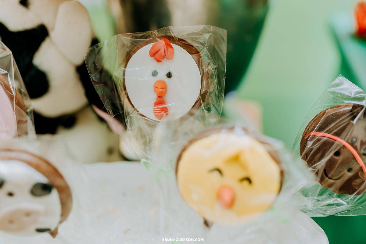 festa em casa fazendinha festa infantil Rio de Janeiro fotografa rj 